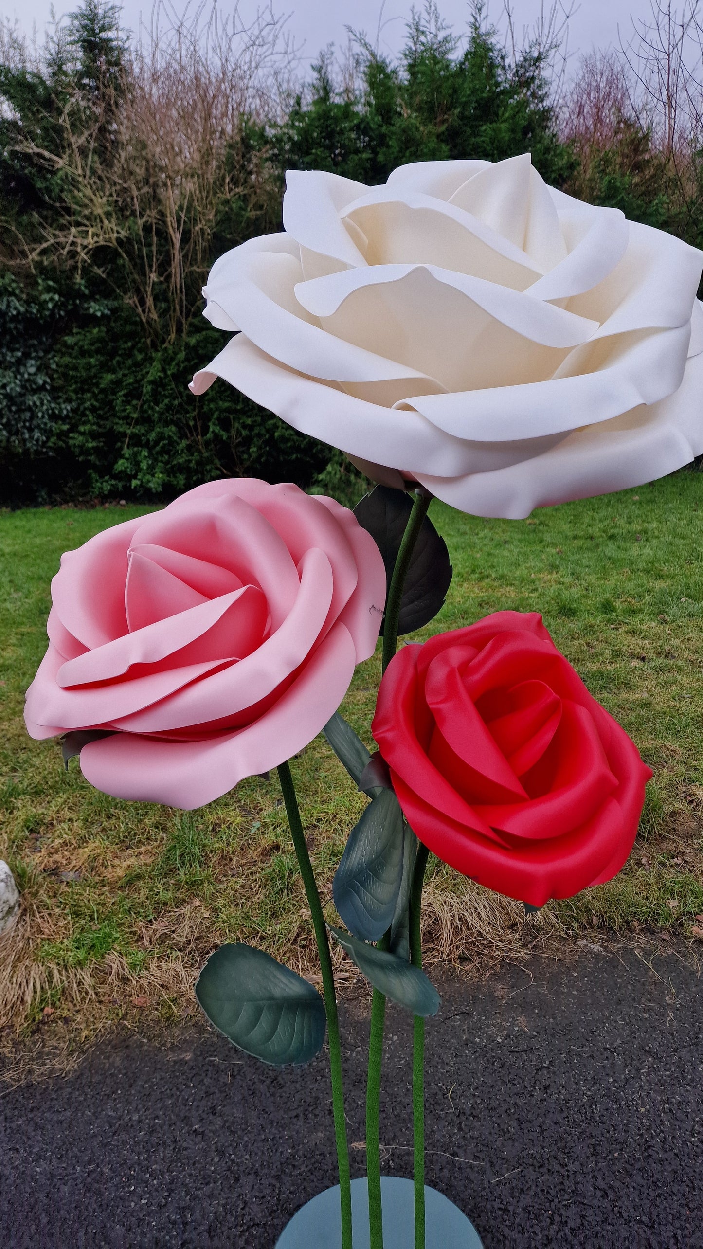 Exdisplay set with 3 isolon roses