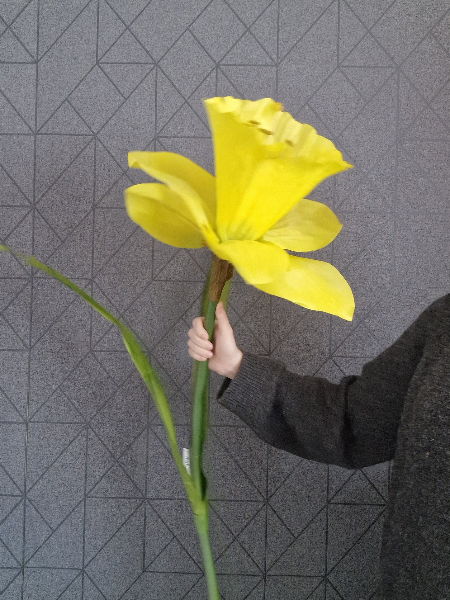 Giant artificial Daffodil