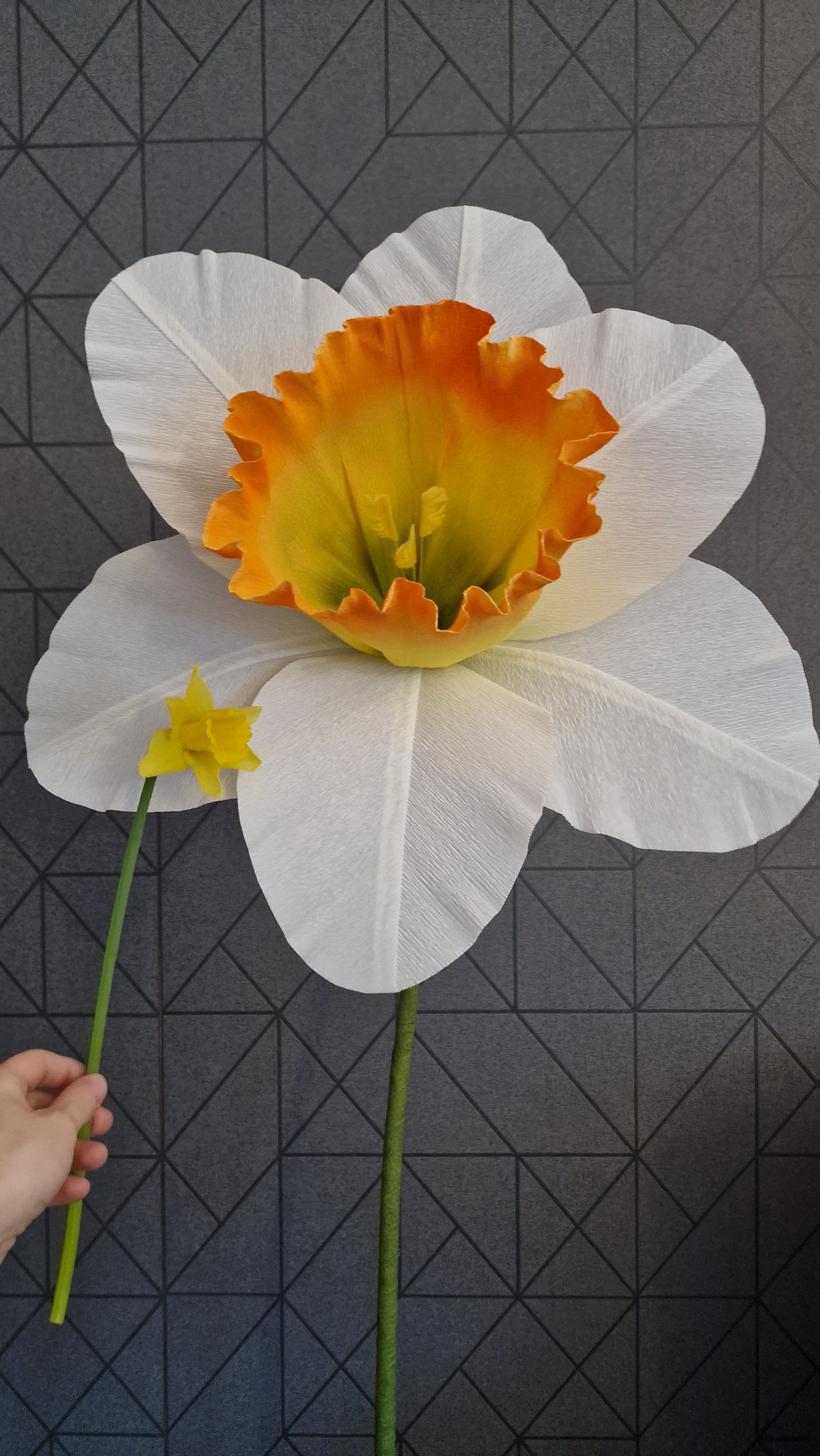 Petal template for large crepe paper daffodil