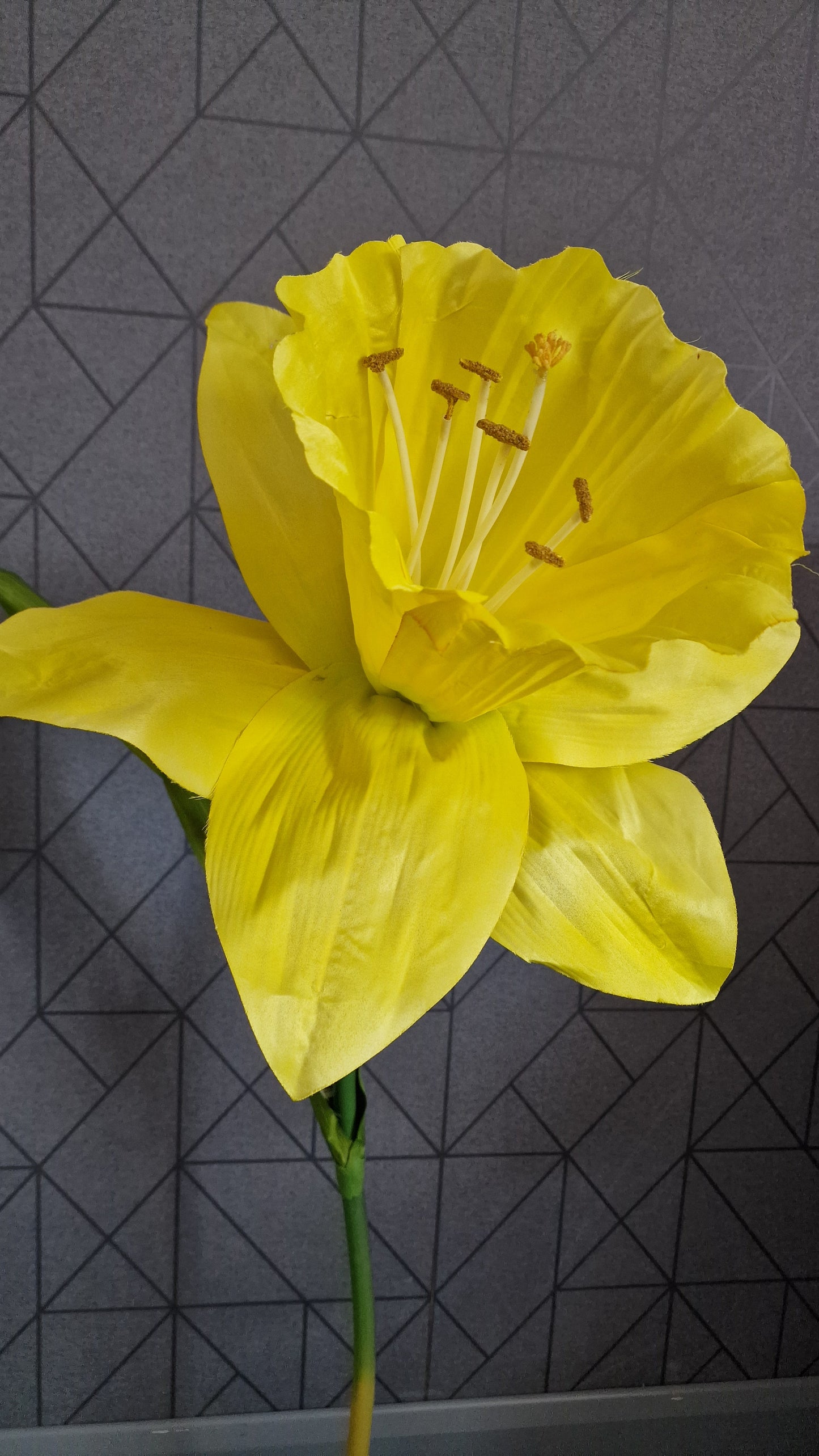 Giant artificial Daffodil