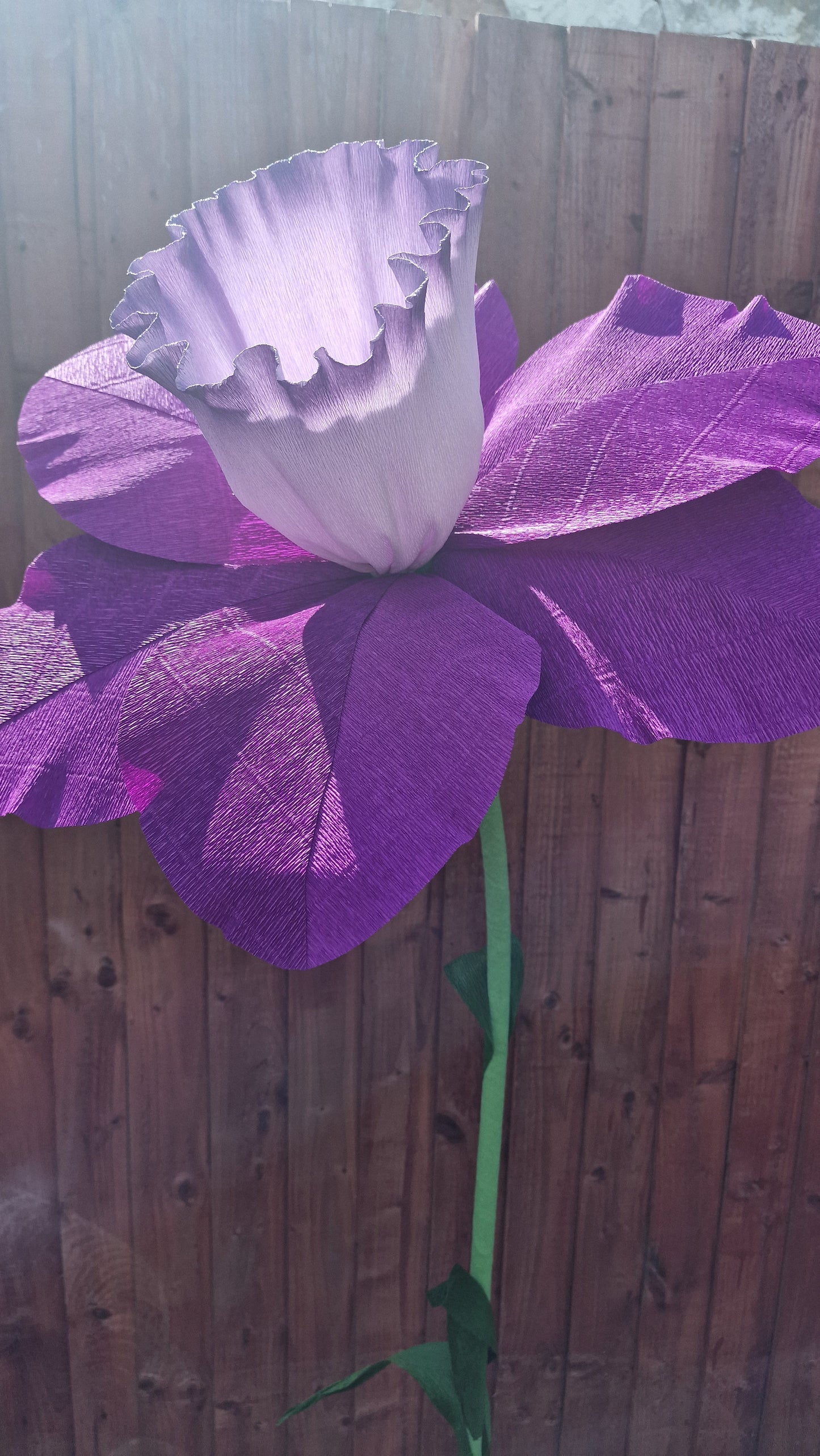 Petal template for large crepe paper daffodil