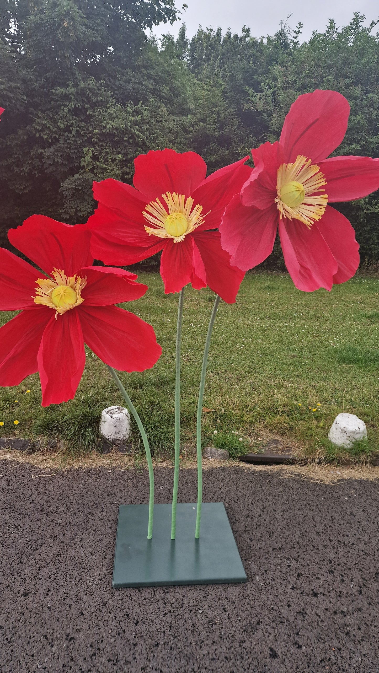 Exdisplay crepe paper poppy