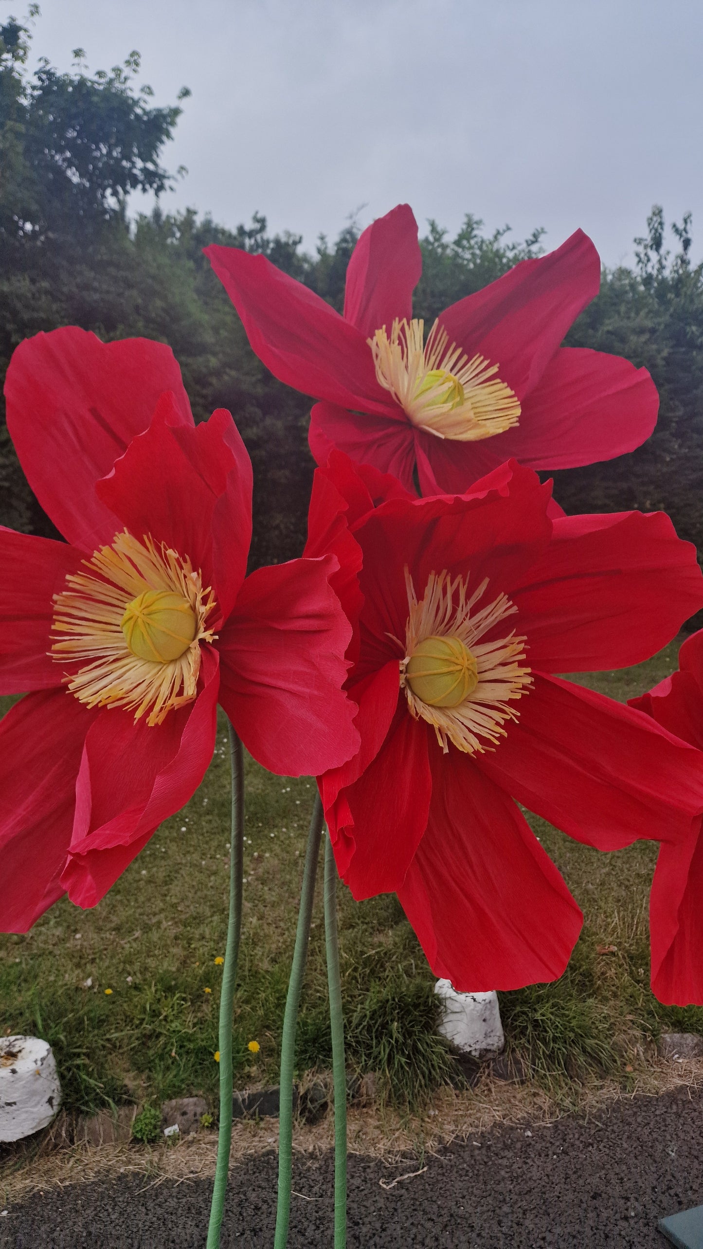 Exdisplay crepe paper poppy