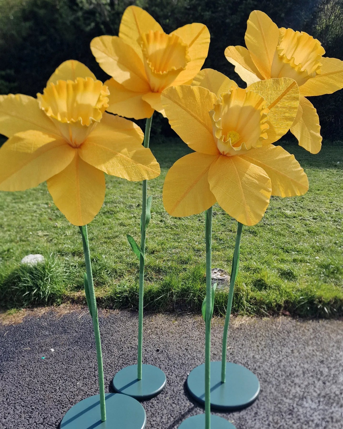 Petal template for large crepe paper daffodil