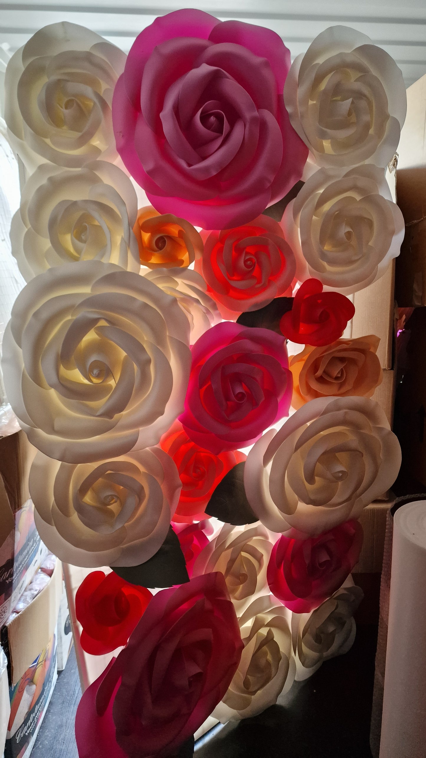 Exdisplay roses with flat back for flowerwalls and arches