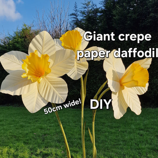 Petal template for large crepe paper daffodil