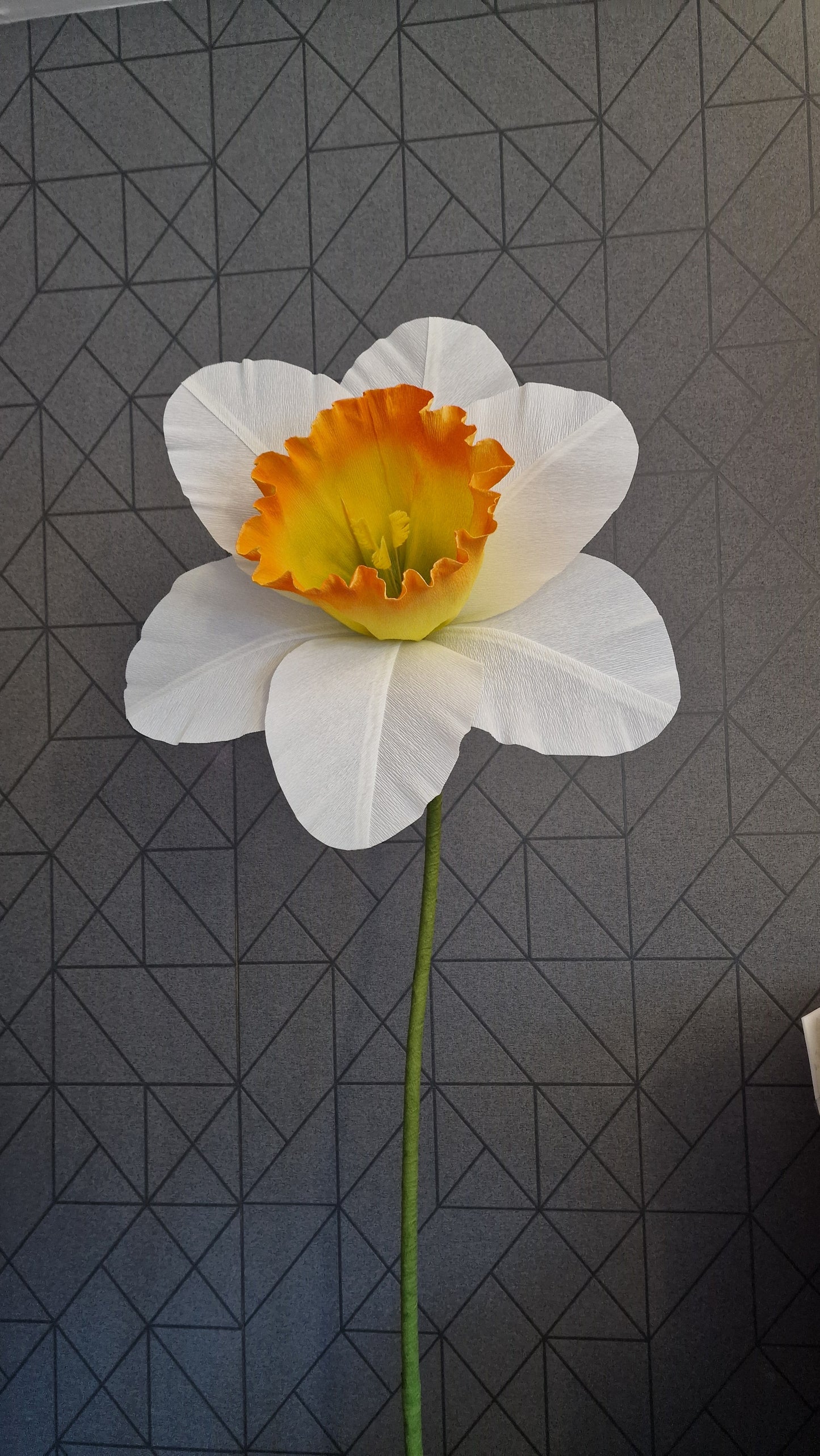 Petal template for large crepe paper daffodil